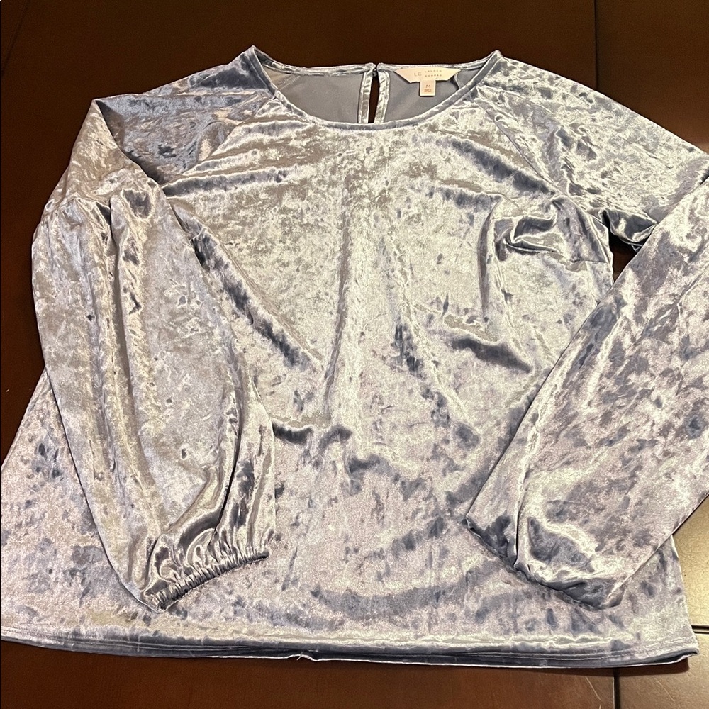 Elegant Silver blue crushed Velvet Women's Top